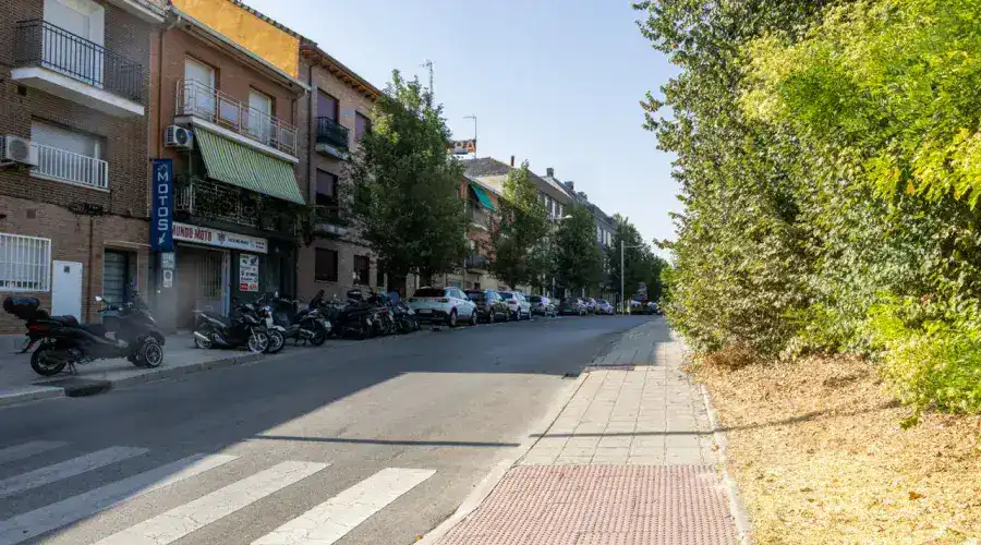 Calle arbolada de Pozuelo de Alarcón