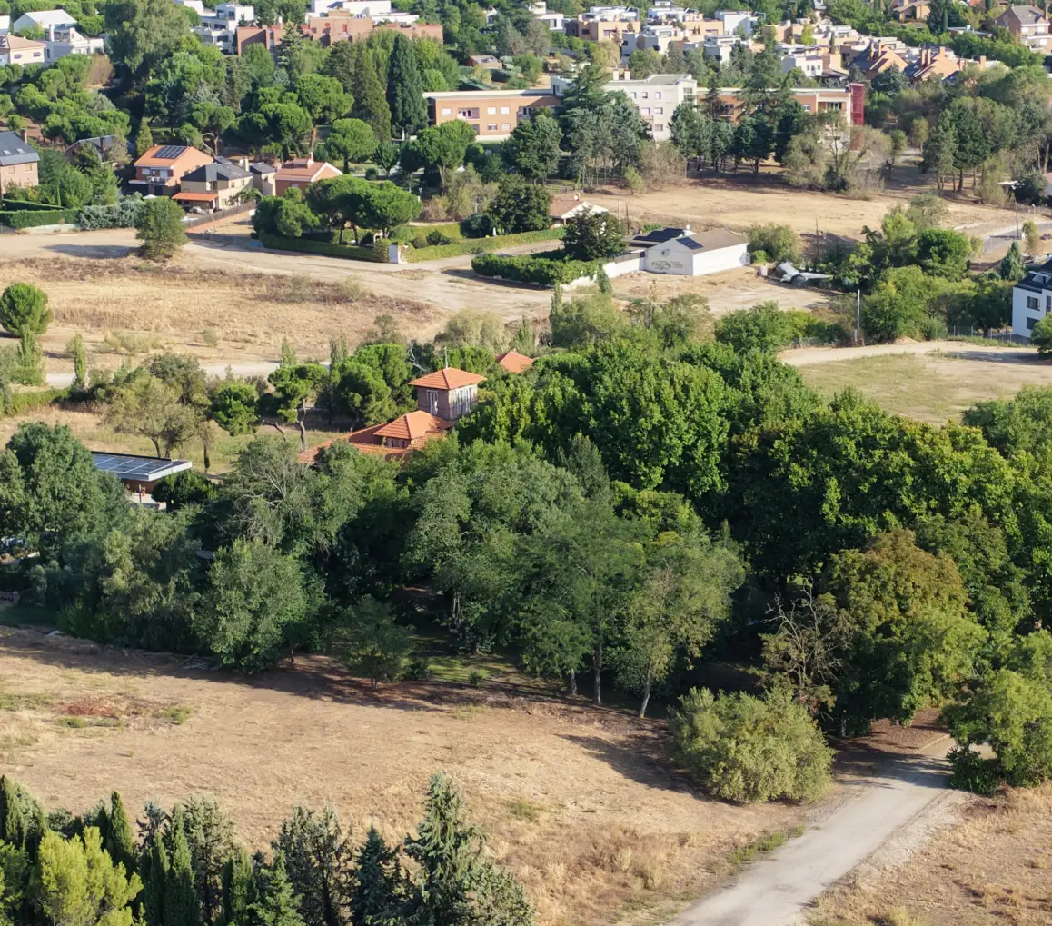 Arbolado que rodea la vivienda de Huerta Grande